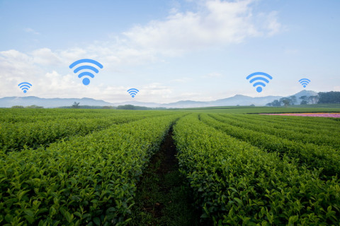 Connected & Smart Farming
